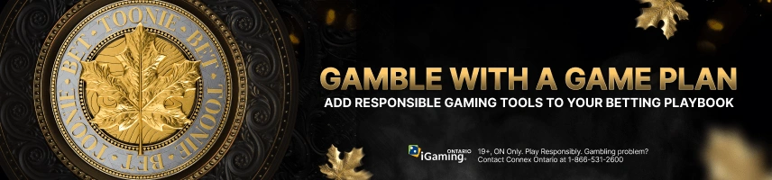 ToonieBet Responsible Gaming